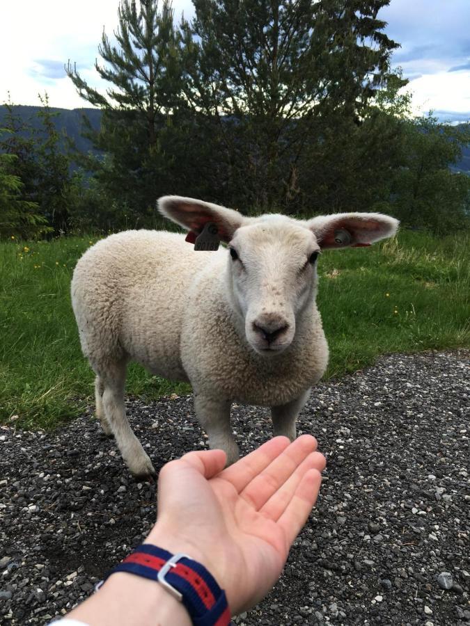Pyntaberget Hotell Sør-Fron المظهر الخارجي الصورة